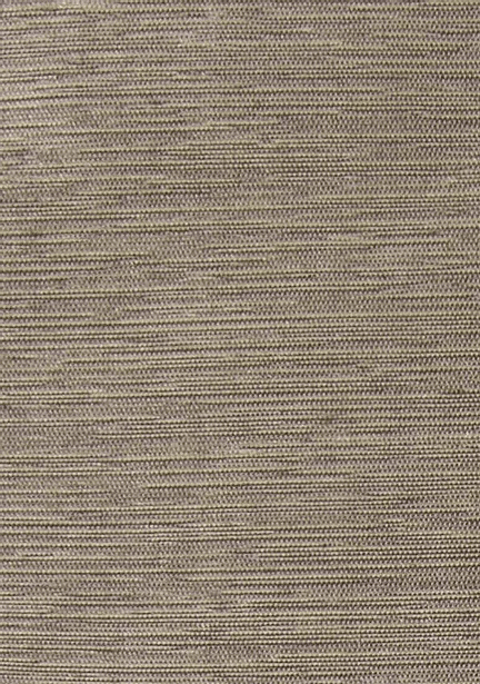 A10-21293
