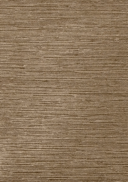 A10-21294