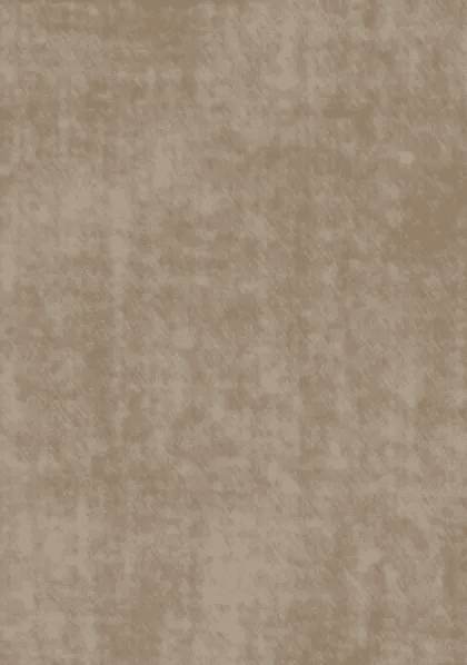 A17-21338